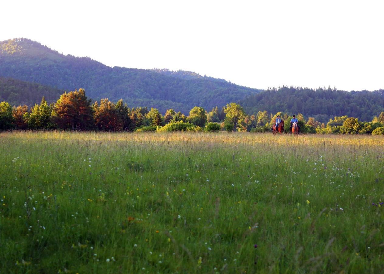 Notranjska Hisa - Traditional Country House, Close To The World Attraction Cerknica Lake Begunje pri Cerknici Exterior foto